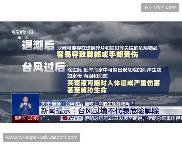 台风促进海洋生态，惠州海鲜量激增，台风 惠州